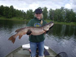 Northern Pike in Alaska