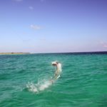 Fishing for tarpon in Mexico