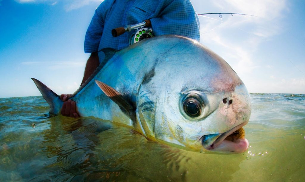 Permit fishing in Mexico