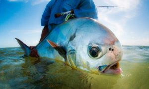 Permit fishing in Mexico