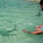 want to learn how to catch bonefish?