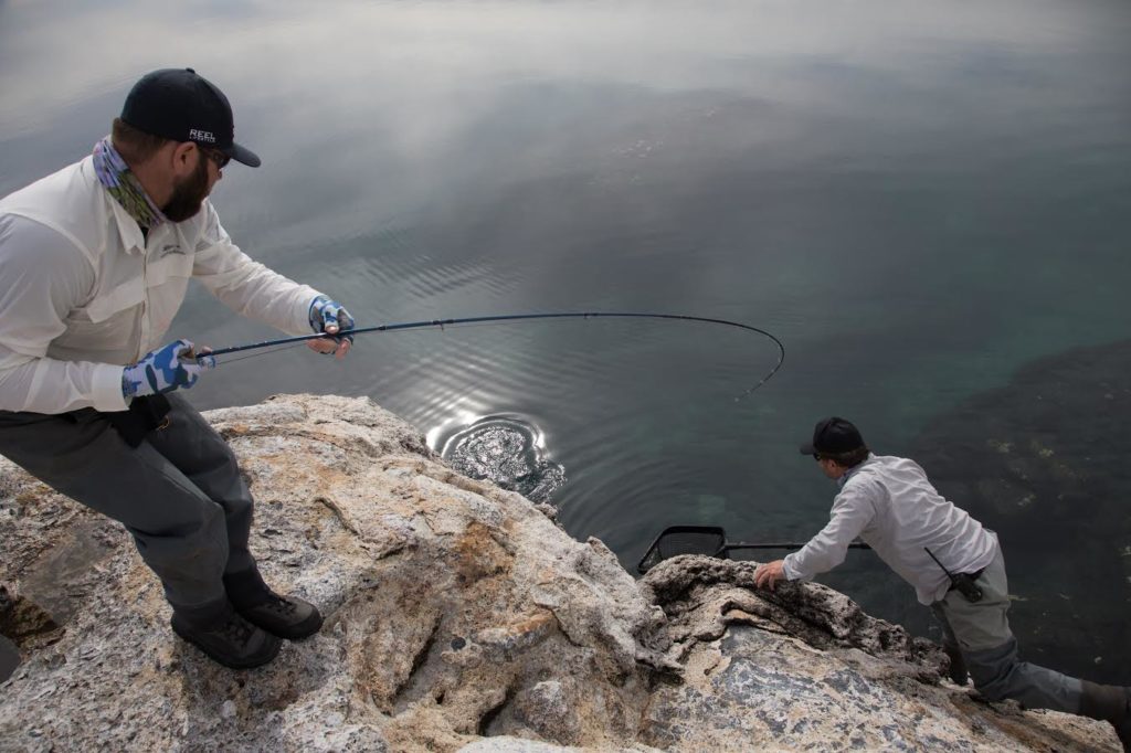 Sight fishing for rainbow trout at Jurassic Lake is one of the most exciting things an angler can ask for. Martin nets this giant fish after a heart pounding fight in and out of the rocks, thank god for fluorocarbon tippet!