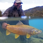 The small city of Coyhaique is the mecca of dry fly fishing in Chilean Patagonia. It is often compared to the American West 100 years ago but with less people, and with non-educated, larger than average sized fish.