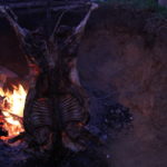 Campfire roasted lamb