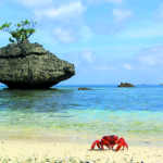 Christmas island is famous for it's crabs