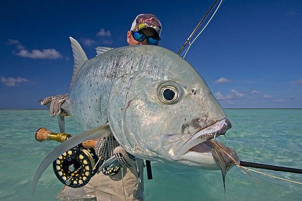 target shallow water giant trevally (GTs) on the fly,