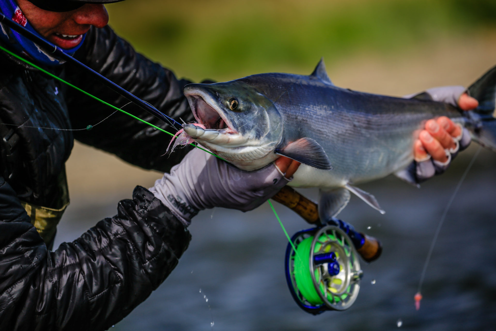 Alaska Fly Fishing Lodge – Chinook “King Salmon”