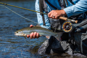 Trout Rivers - Affordable Rod & Reel Outfit