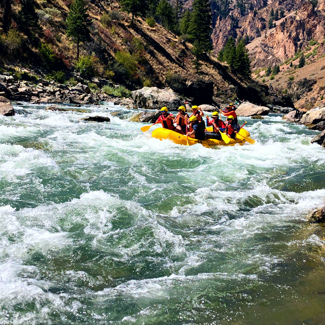 A group enjoys whitewater rafting on the Middle Fork of the Salmon River.