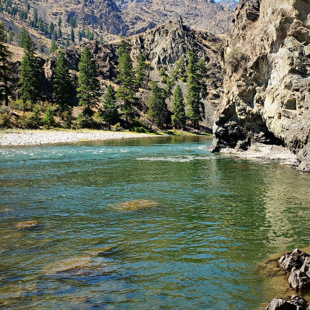 Tranquil waters of the Middle Fork of the Salmon River.