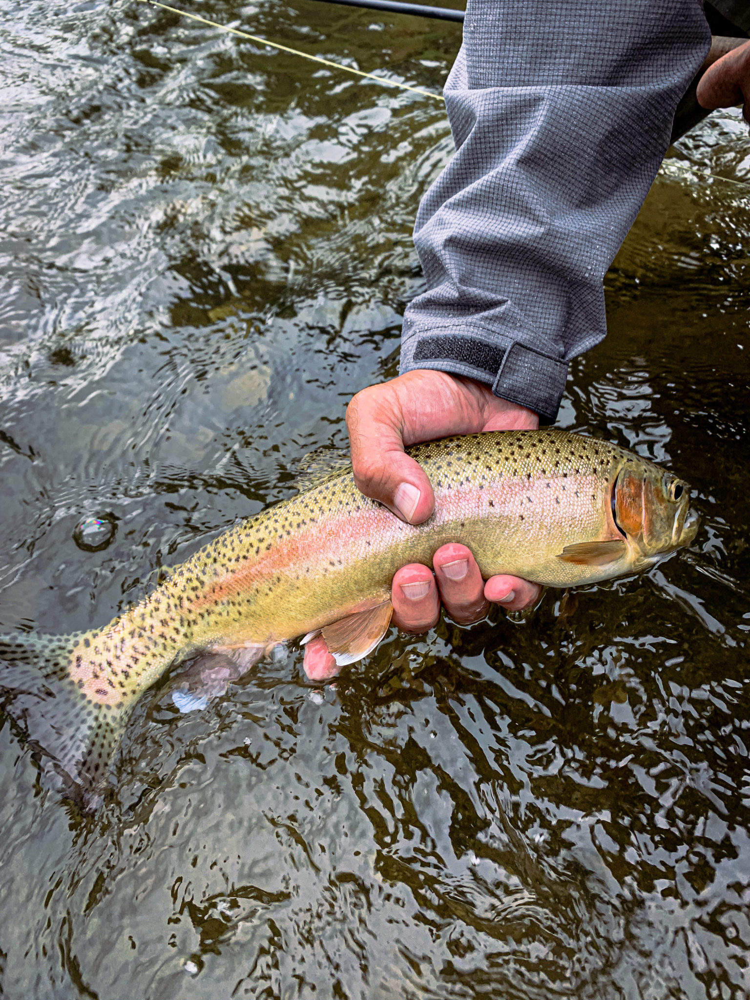 Montana Fly Fishing Lodge - Montana - Got Fishing