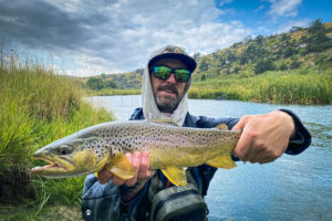 The Thrill of Catching Brown Trout in Montana: A Must-Experience for Anglers  - Got Fishing