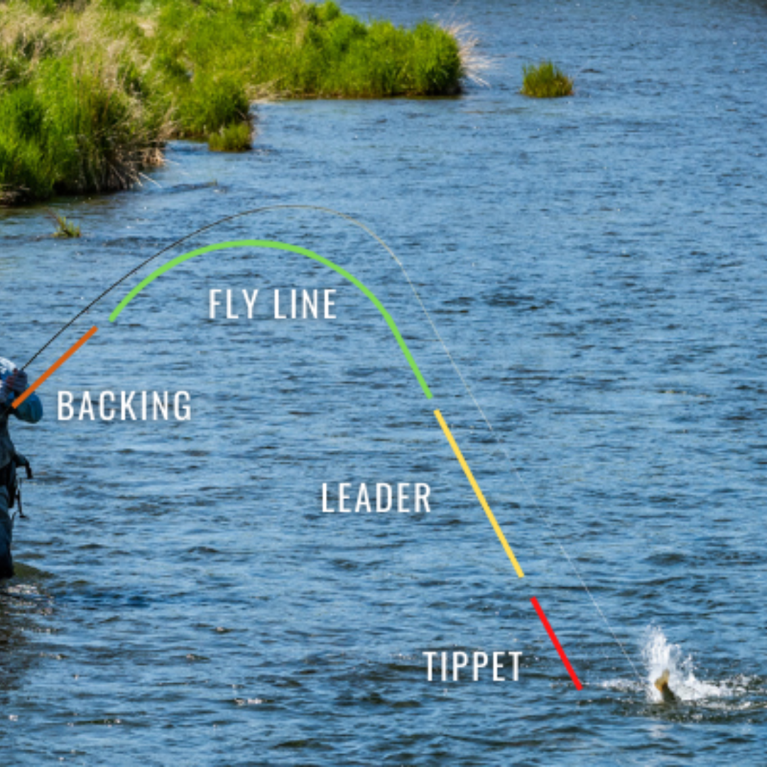Quality Affordable Fly Fishing Gear Got Fishing